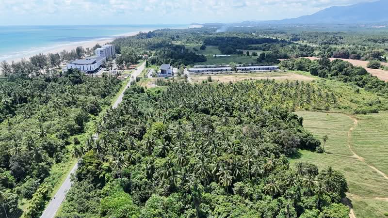 Tanah Pertanian untuk Dijual di Sematan (Lundu) - Sherene Kok - Exterior - PropertyGuru.com.my