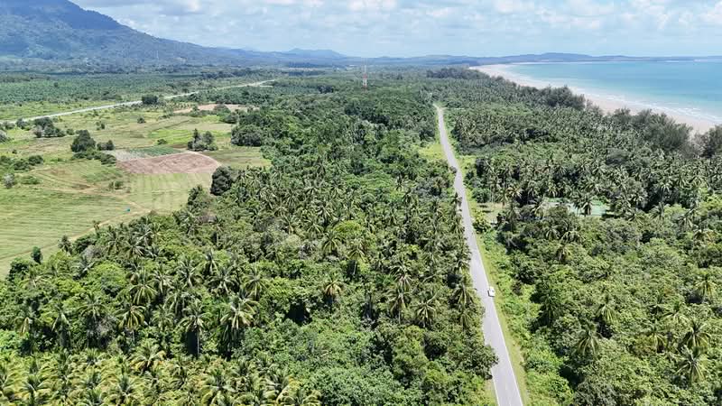 Tanah Pertanian untuk Dijual di Sematan (Lundu) - Sherene Kok - Exterior - PropertyGuru.com.my
