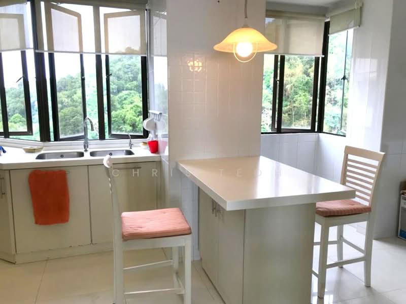 Condominium for Rent at Miami Green - Chris Teoh - Kitchen - PropertyGuru.com.my
