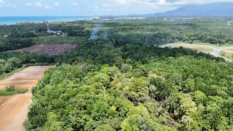 Agricultural Land for Sale in Sematan (Lundu) - Sherene Kok - Exterior - PropertyGuru.com.my