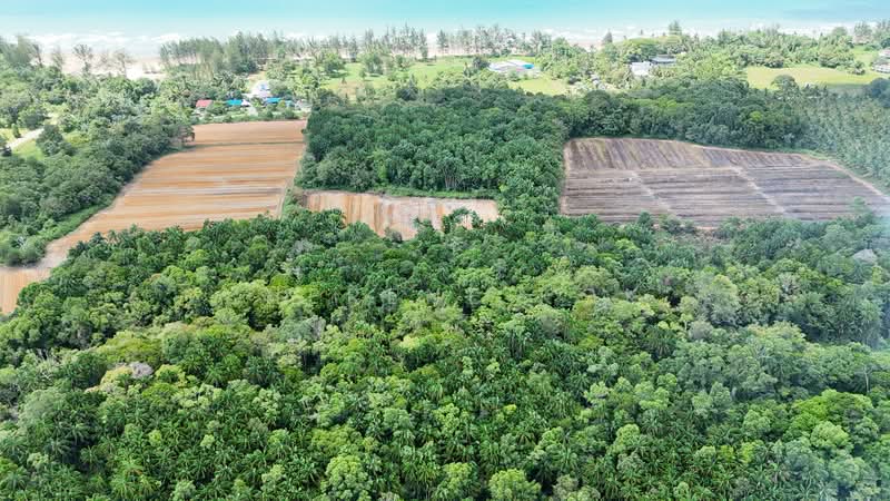 Agricultural Land for Sale in Sematan (Lundu) - Sherene Kok - Exterior - PropertyGuru.com.my