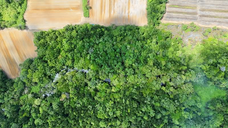 Agricultural Land for Sale in Sematan (Lundu) - Sherene Kok - PropertyGuru.com.my
