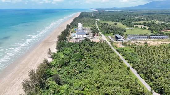 Agricultural Land for Sale in Sematan (Lundu) - Sherene Kok - PropertyGuru.com.my