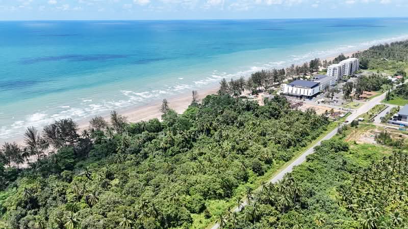 Agricultural Land for Sale in Sematan (Lundu) - Sherene Kok - Exterior - PropertyGuru.com.my