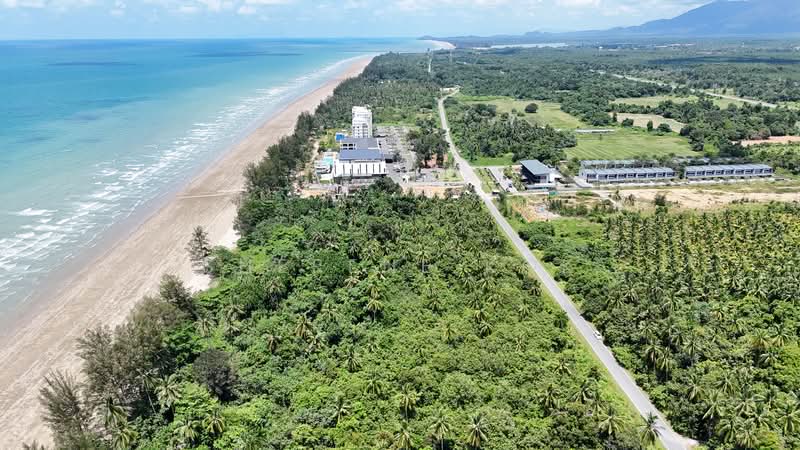 Agricultural Land for Sale in Sematan (Lundu) - Sherene Kok - Exterior - PropertyGuru.com.my