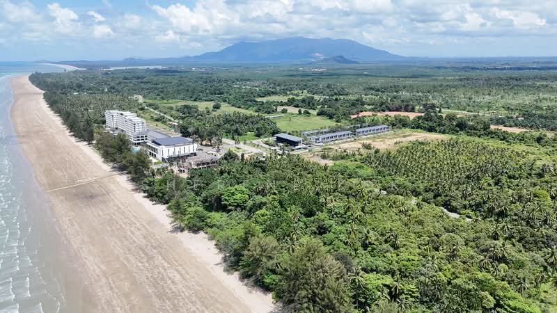 Agricultural Land for Sale in Sematan (Lundu) - Sherene Kok - Exterior - PropertyGuru.com.my