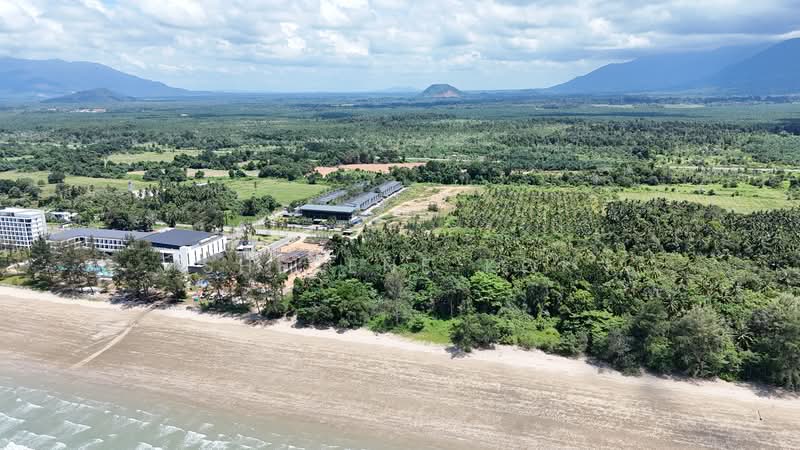 Agricultural Land for Sale in Sematan (Lundu) - Sherene Kok - Exterior - PropertyGuru.com.my