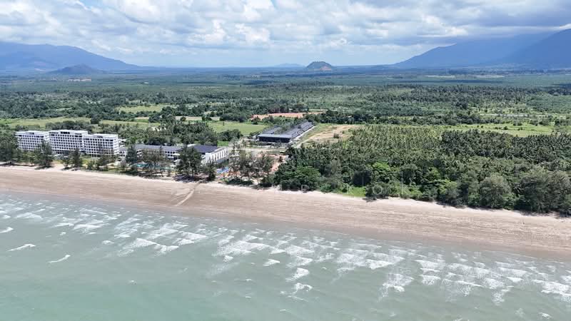 Agricultural Land for Sale in Sematan (Lundu) - Sherene Kok - Exterior - PropertyGuru.com.my
