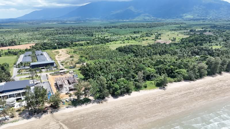 Agricultural Land for Sale in Sematan (Lundu) - Sherene Kok - Exterior - PropertyGuru.com.my