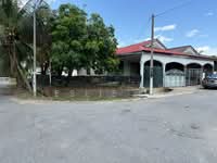 For Sale - Pokok Sena