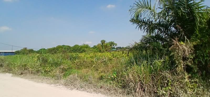 Tanah Pertanian untuk Dijual di Taman Johan Setia (Klang) - Fazillah Rahim - Exterior - PropertyGuru.com.my