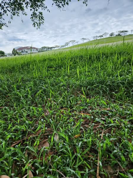 Tanah Banglo untuk Dijual di Leisure Farm (Gelang Patah) - Adeline Chin - Exterior - PropertyGuru.com.my