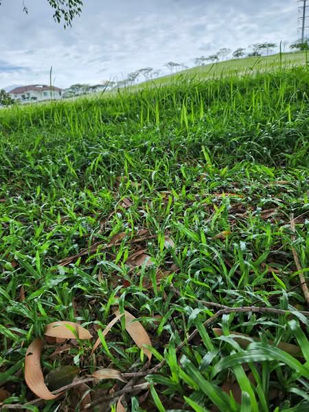 Tanah Banglo untuk Dijual di Leisure Farm (Gelang Patah) - Adeline Chin - Exterior - PropertyGuru.com.my