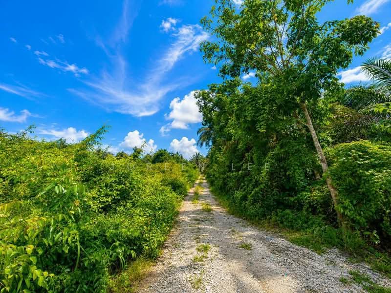 Tanah Pertanian untuk Dijual di Pekan Nanas (Johor) - Joreen Lee - PropertyGuru.com.my