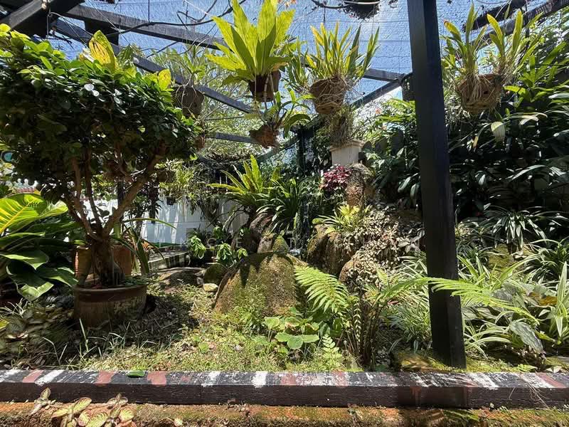 1-storey Terraced House for Sale in Tambun (Perak) - Vincent Chin - Garden - PropertyGuru.com.my