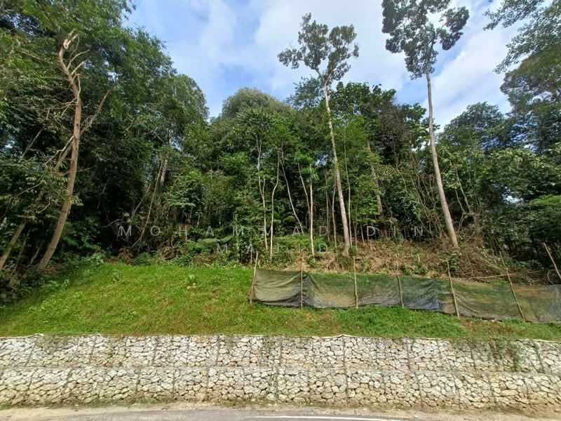 Tanah Pertanian untuk Dijual di Batu Caves (Selangor) - Mohammad Din Majid - Exterior - PropertyGuru.com.my