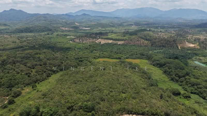 Tanah Pertanian untuk Dijual di Kuala Klawang (Negeri Sembilan) - Vincent Tee - Exterior - PropertyGuru.com.my