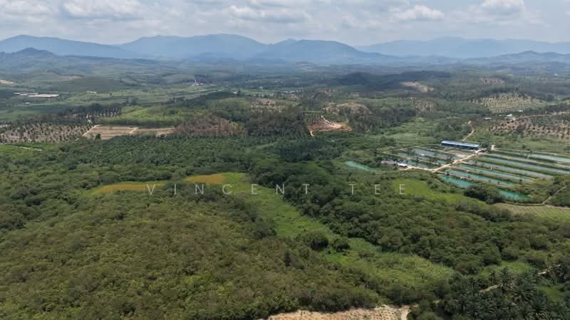 Tanah Pertanian untuk Dijual di Kuala Klawang (Negeri Sembilan) - Vincent Tee - Exterior - PropertyGuru.com.my