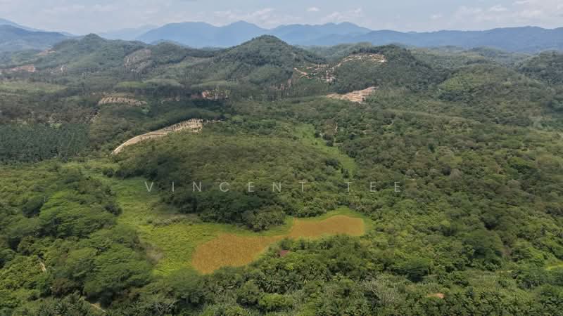 Tanah Pertanian untuk Dijual di Kuala Klawang (Negeri Sembilan) - Vincent Tee - Exterior - PropertyGuru.com.my