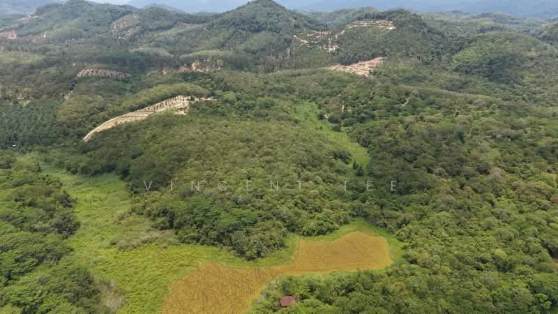 Tanah Pertanian untuk Dijual di Kuala Klawang (Negeri Sembilan) - Vincent Tee - Exterior - PropertyGuru.com.my