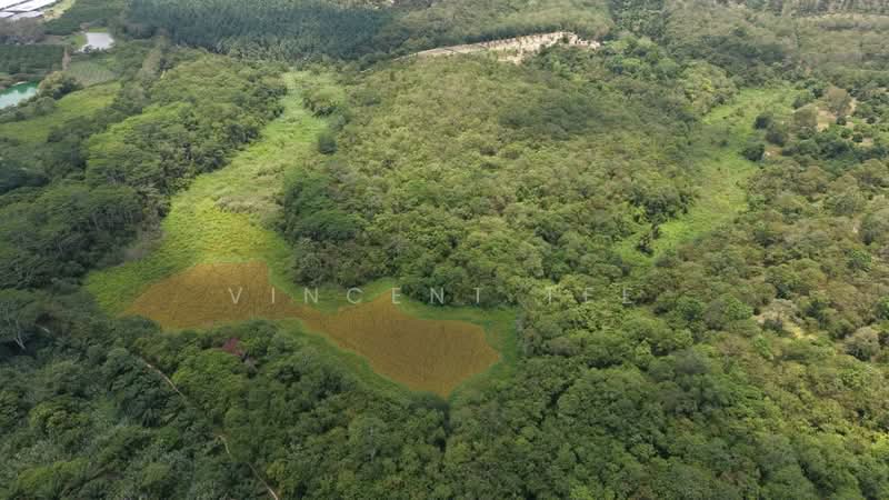 Tanah Pertanian untuk Dijual di Kuala Klawang (Negeri Sembilan) - Vincent Tee - PropertyGuru.com.my
