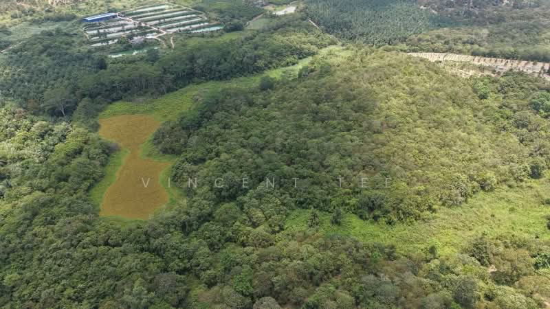 Tanah Pertanian untuk Dijual di Kuala Klawang (Negeri Sembilan) - Vincent Tee - PropertyGuru.com.my