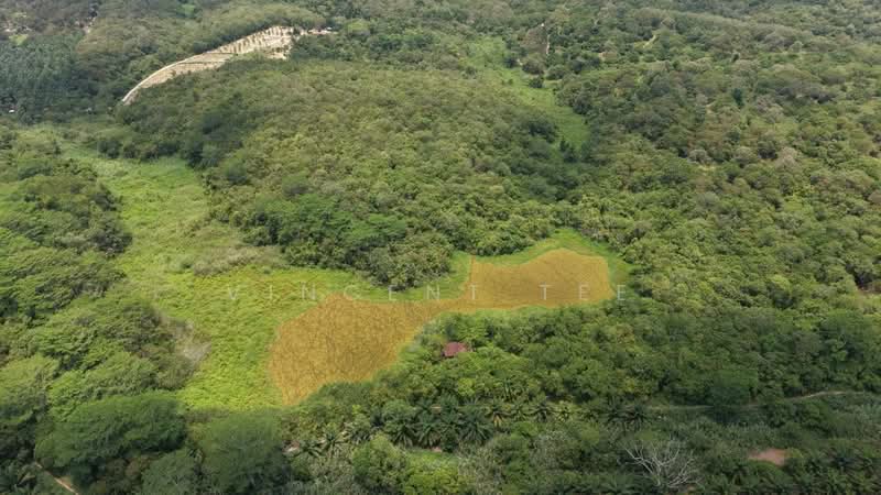 Tanah Pertanian untuk Dijual di Kuala Klawang (Negeri Sembilan) - Vincent Tee - PropertyGuru.com.my