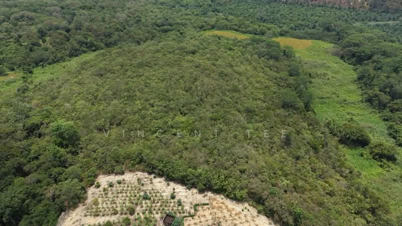 Tanah Pertanian untuk Dijual di Kuala Klawang (Negeri Sembilan) - Vincent Tee - PropertyGuru.com.my