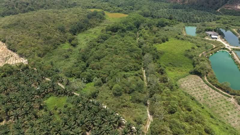 Tanah Pertanian untuk Dijual di Kuala Klawang (Negeri Sembilan) - Vincent Tee - PropertyGuru.com.my