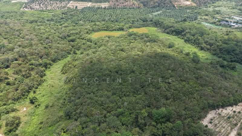 Tanah Pertanian untuk Dijual di Kuala Klawang (Negeri Sembilan) - Vincent Tee - PropertyGuru.com.my