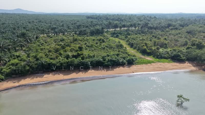 Agricultural Land for Sale in Port Dickson (Negeri Sembilan) - Vincent Tee - Exterior - PropertyGuru.com.my