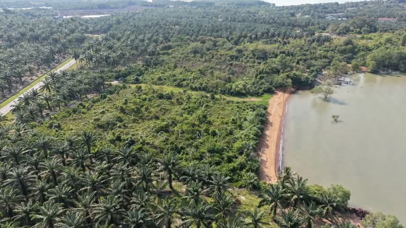 Agricultural Land for Sale in Port Dickson (Negeri Sembilan) - Vincent Tee - Exterior - PropertyGuru.com.my