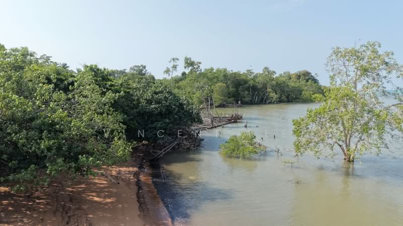 Agricultural Land for Sale in Port Dickson (Negeri Sembilan) - Vincent Tee - Exterior - PropertyGuru.com.my