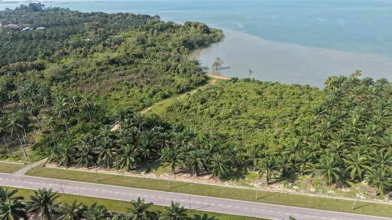 Agricultural Land for Sale in Port Dickson (Negeri Sembilan) - Vincent Tee - Exterior - PropertyGuru.com.my
