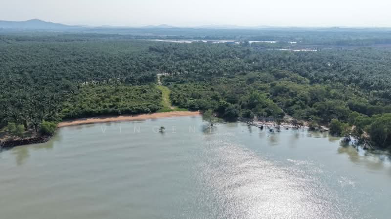 Agricultural Land for Sale in Port Dickson (Negeri Sembilan) - Vincent Tee - Exterior - PropertyGuru.com.my