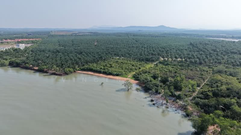 Agricultural Land for Sale in Port Dickson (Negeri Sembilan) - Vincent Tee - Exterior - PropertyGuru.com.my