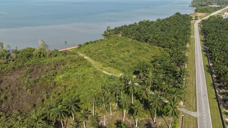 Agricultural Land for Sale in Port Dickson (Negeri Sembilan) - Vincent Tee - Exterior - PropertyGuru.com.my