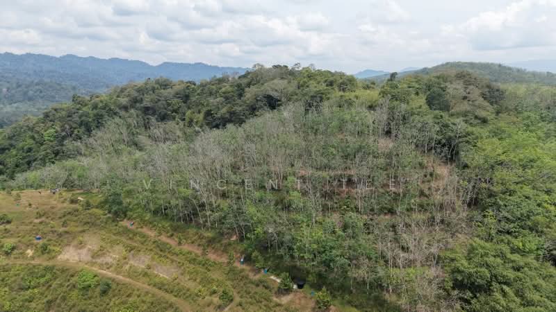 Tanah Pertanian untuk Dijual di Titi (Negeri Sembilan) - Vincent Tee - Exterior - PropertyGuru.com.my