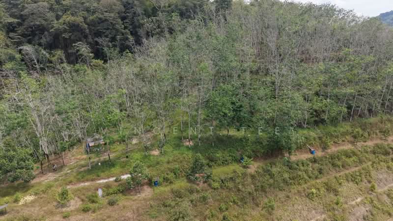Tanah Pertanian untuk Dijual di Titi (Negeri Sembilan) - Vincent Tee - Exterior - PropertyGuru.com.my