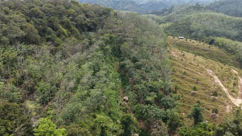 Tanah Pertanian untuk Dijual di Titi (Negeri Sembilan) - Vincent Tee - Exterior - PropertyGuru.com.my