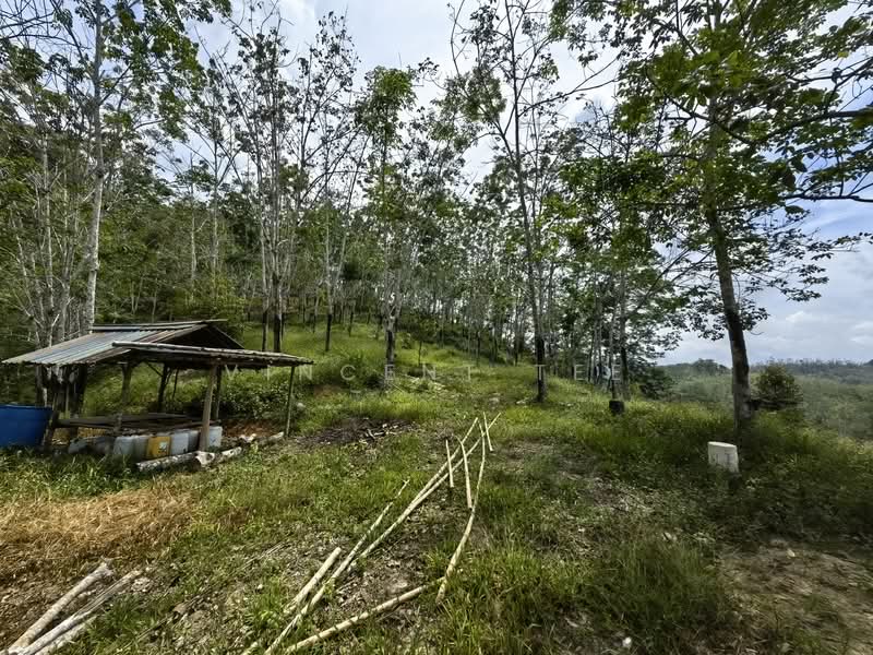 Tanah Pertanian untuk Dijual di Titi (Negeri Sembilan) - Vincent Tee - Exterior - PropertyGuru.com.my