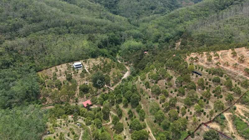 Tanah Pertanian untuk Dijual di Kenaboi (Negeri Sembilan) - Vincent Tee - Exterior - PropertyGuru.com.my