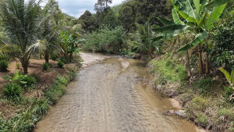 Tanah Pertanian untuk Dijual di Kenaboi (Negeri Sembilan) - Vincent Tee - Exterior - PropertyGuru.com.my