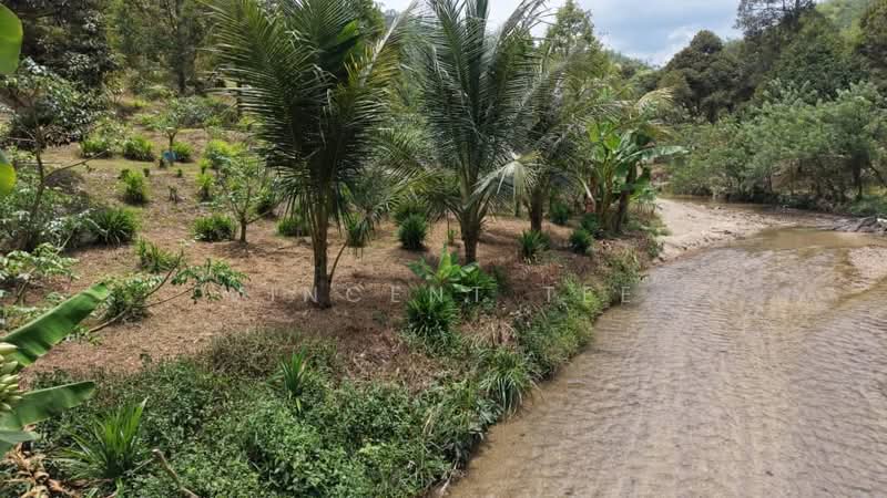 Tanah Pertanian untuk Dijual di Kenaboi (Negeri Sembilan) - Vincent Tee - Exterior - PropertyGuru.com.my