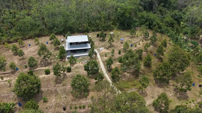 Tanah Pertanian untuk Dijual di Kenaboi (Negeri Sembilan) - Vincent Tee - Exterior - PropertyGuru.com.my