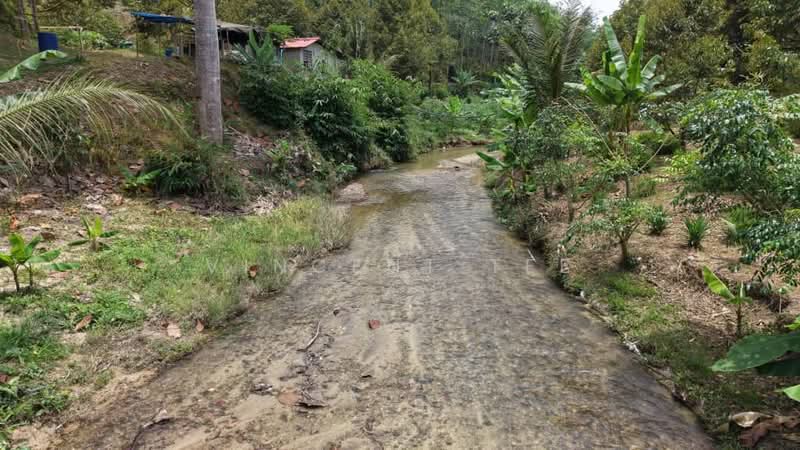 Tanah Pertanian untuk Dijual di Kenaboi (Negeri Sembilan) - Vincent Tee - Exterior - PropertyGuru.com.my