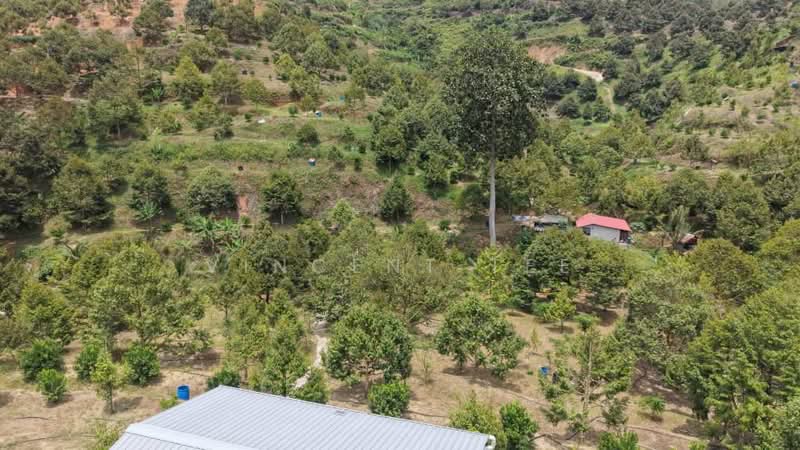 Tanah Pertanian untuk Dijual di Kenaboi (Negeri Sembilan) - Vincent Tee - Exterior - PropertyGuru.com.my