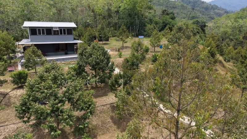 Tanah Pertanian untuk Dijual di Kenaboi (Negeri Sembilan) - Vincent Tee - Exterior - PropertyGuru.com.my