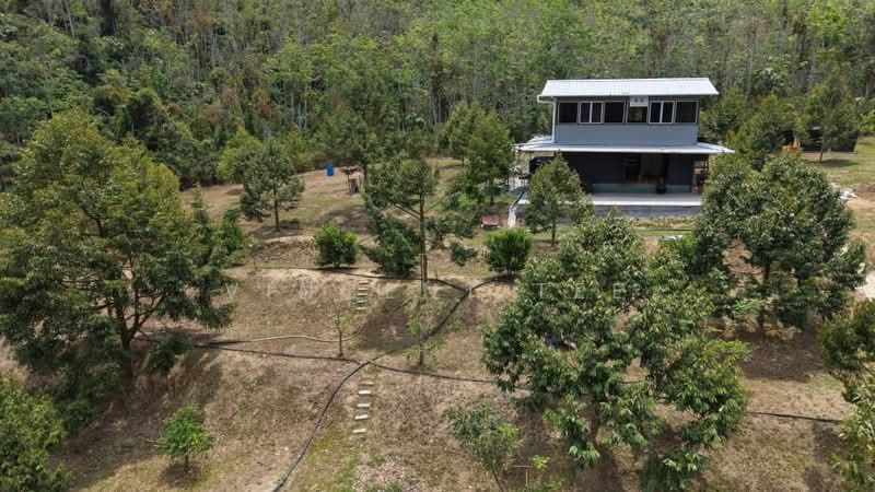 Tanah Pertanian untuk Dijual di Kenaboi (Negeri Sembilan) - Vincent Tee - Exterior - PropertyGuru.com.my