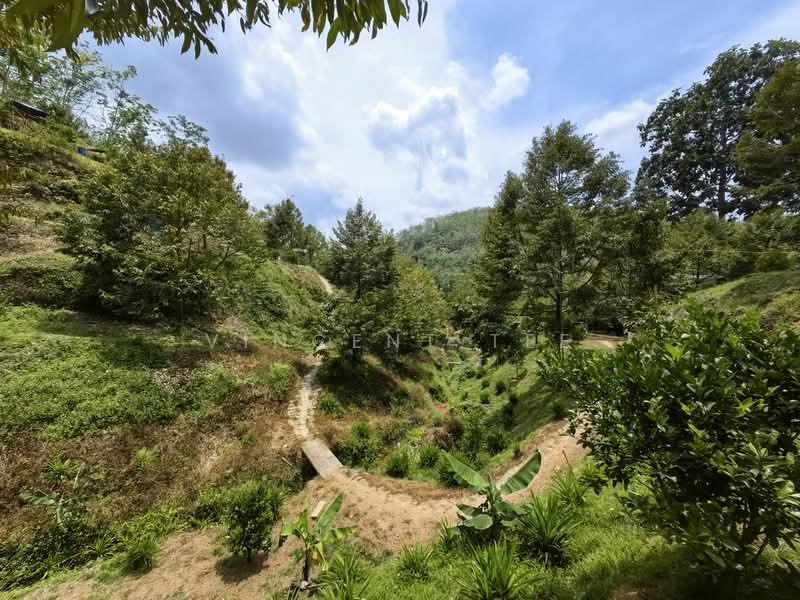 Tanah Pertanian untuk Dijual di Kenaboi (Negeri Sembilan) - Vincent Tee - Exterior - PropertyGuru.com.my